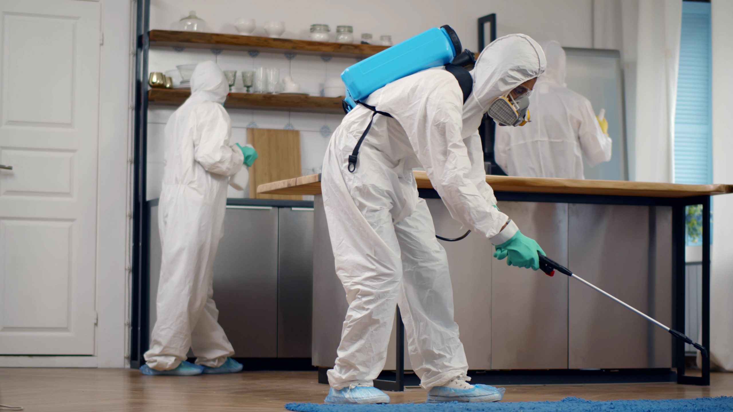 Commercial and Residential Pest control UT hybridpestcontrol scaled 1
